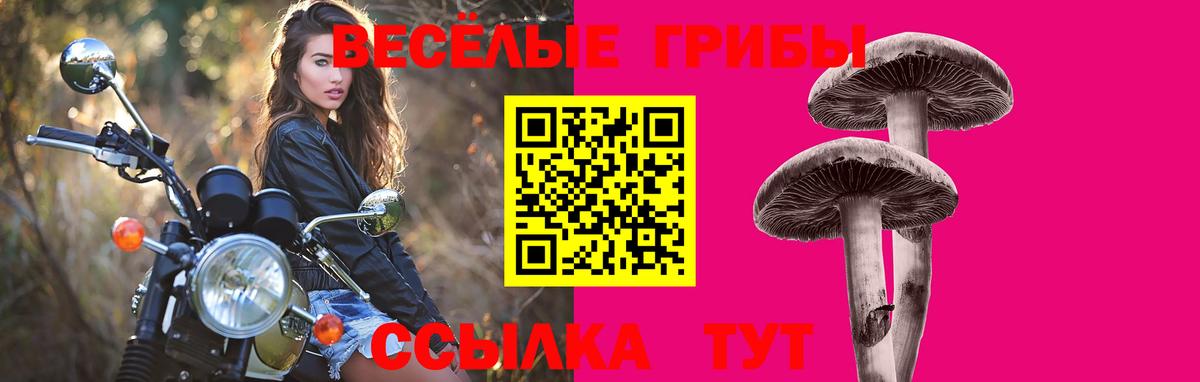 Владимир  Галлюциногенные грибы мухоморы  Вход с VPN 